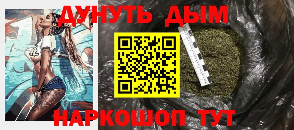 Конопля планчик Кольчугино